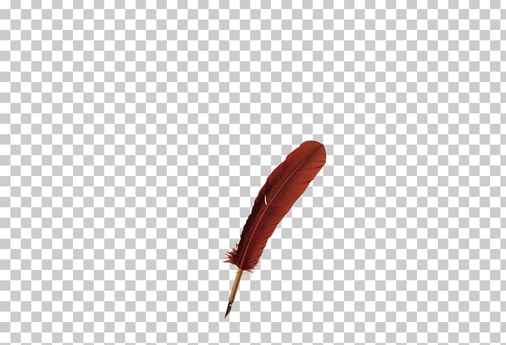 Red Feather PNG, Clipart, Adobe Illustrator, Animals, Blue, Download, Encapsulated Postscript Free PNG Download