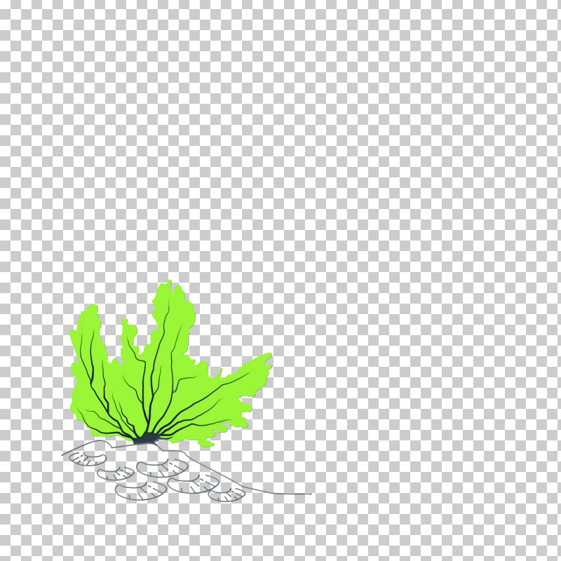 Leaf Plant Stem Tree Green Meter PNG, Clipart, Biology, Green, Herb, Leaf, Meter Free PNG Download