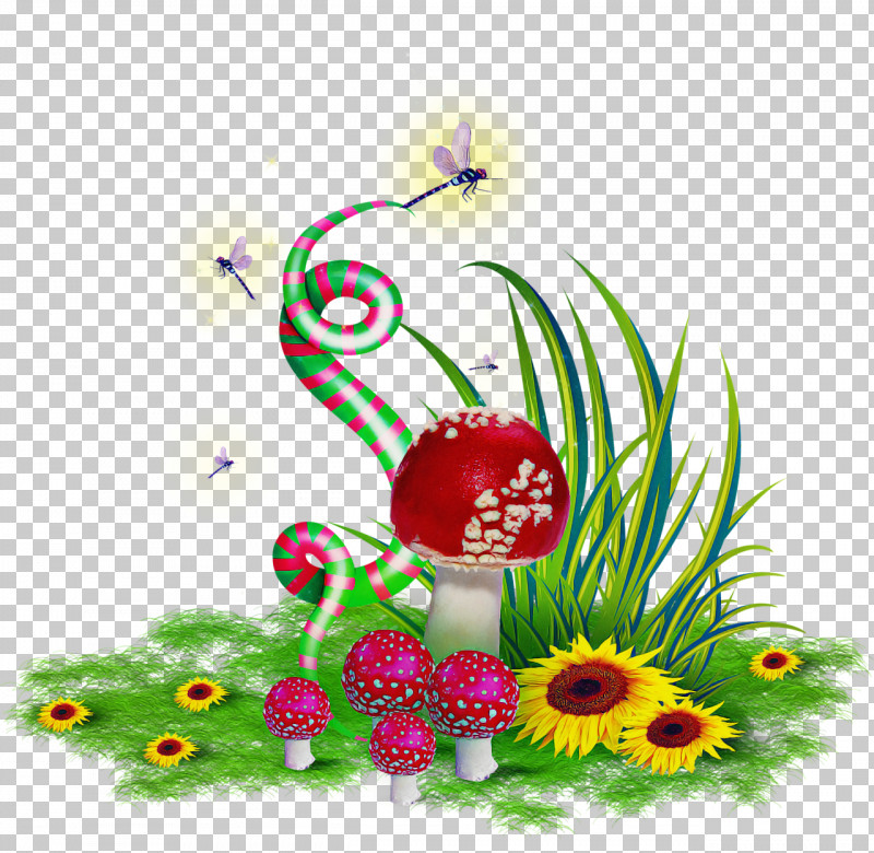 Plant PNG, Clipart, Plant Free PNG Download