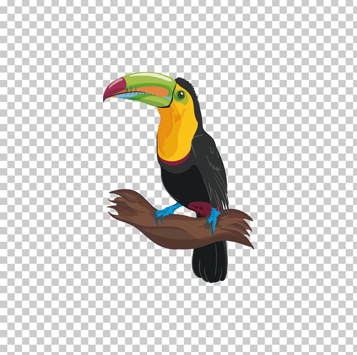 Bird Adobe Illustrator PNG, Clipart, Animals, Beak, Birds, Coreldraw, Download Free PNG Download