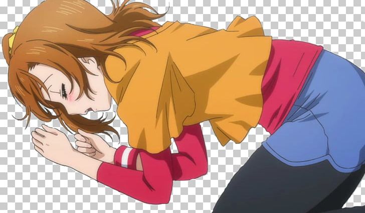 Honoka Kōsaka Anime Nico Yazawa Printemps Coub PNG, Clipart, Arm, Brown Hair, Cartoon, Computer Wallpaper, Emi Nitta Free PNG Download