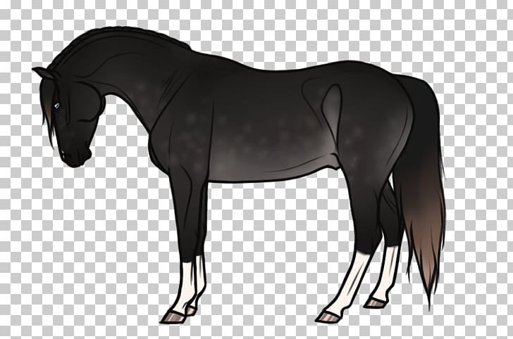 Mane Mustang Stallion Mare Pony PNG, Clipart, Bridle, Dog Harness, Halter, Horse, Horse Harness Free PNG Download