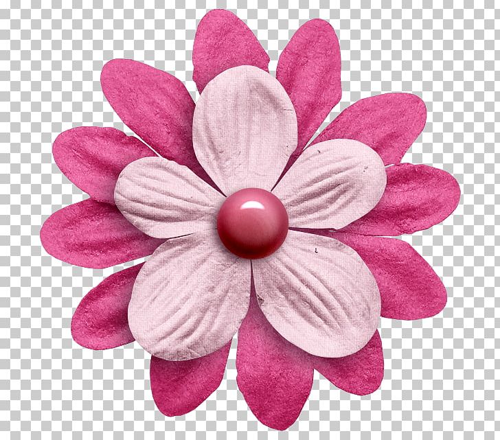Petal Cut Flowers Pink M PNG, Clipart, Blossom, Cut Flowers, Flower, Magenta, Nature Free PNG Download