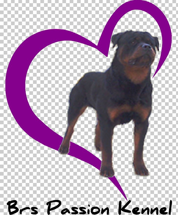 Puppy Il Rottweiler Dog Houses Childbirth PNG, Clipart, Animals, Birth, Breed Standard, Carnivoran, Childbirth Free PNG Download