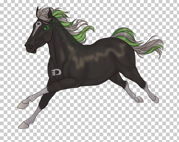 Stallion Mustang Foal Mare Pony PNG, Clipart, Foal, Halter, Horse, Horse Like Mammal, Horse Supplies Free PNG Download