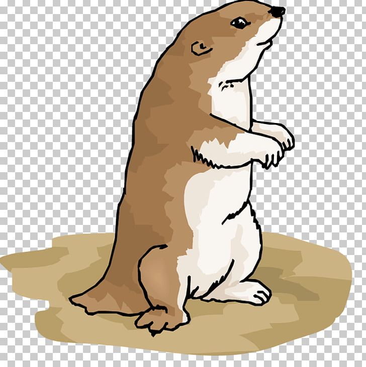 Beaver Prairie Dog Bear Illustration PNG, Clipart, Animal, Animal Figure, Animals, Bear, Beaver Free PNG Download