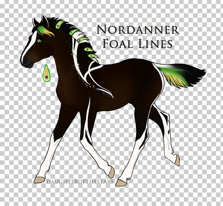 Mustang Mane Stallion Pony Foal PNG, Clipart, Arabia, Bridle, Colt, Equestrian, Equestrian Sport Free PNG Download