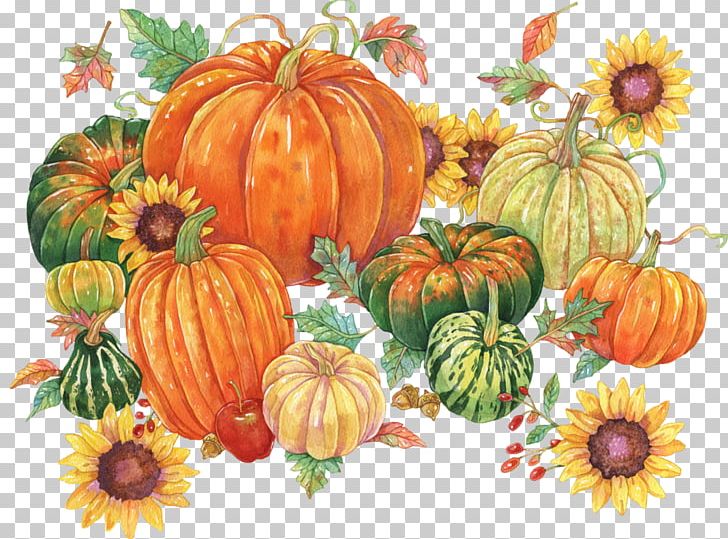 Pumpkin Winter Squash Calabaza Vegetarian Cuisine Gourd PNG, Clipart, Commodity, Cucumber Gourd And Melon Family, Cucurbita, Flag, Flower Free PNG Download