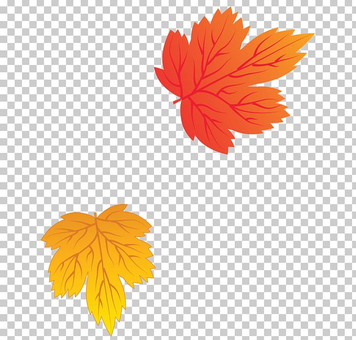 Leaf Autumn Leaves PNG, Clipart, Autumn, Autumn Leaves, Blog, Clip , Cloud Free PNG Download
