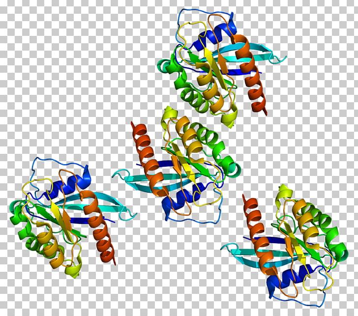 RAB7A Gene Cell Protein PNG, Clipart, 1 T, 7 A, Antisense Rna, Cell, Downregulation And Upregulation Free PNG Download