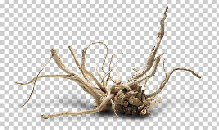 Root Fishkeeping Aquarium Branch Tree PNG, Clipart, Aquarium, Branch, Crown, Desktop Environment, Desktop Wallpaper Free PNG Download