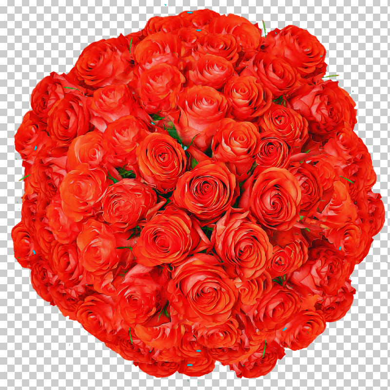 Garden Roses PNG, Clipart, Artificial Flower, Cut Flowers, Floral Design, Floribunda, Flower Free PNG Download