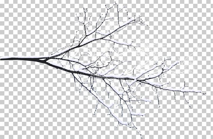 Branch Tree Twig Snow Png Clipart Black And White Branch