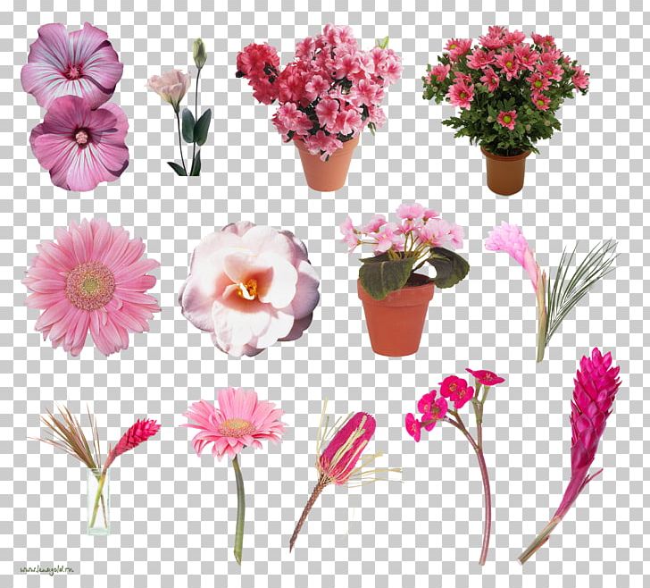 Cut Flowers Floral Design Artificial Flower PNG, Clipart, Artificial Flower, Cut Flowers, Flora, Floral Design, Floristry Free PNG Download