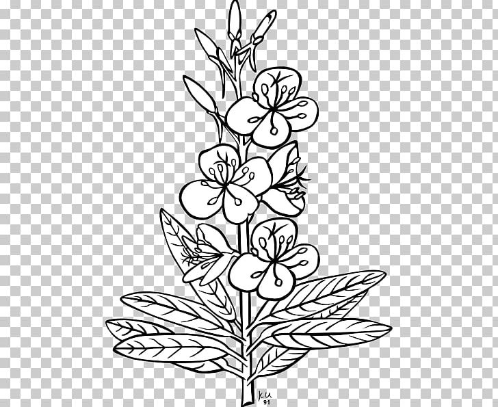Plant Flower Leaf PNG, Clipart, Angle, Area, Art, Black And White, Branch Free PNG Download