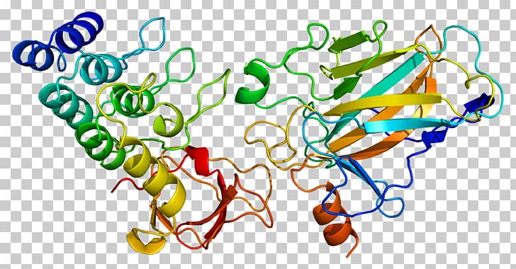 TP53BP2 Tumor Suppressor Gene Protein PNG, Clipart, Antigen, Apoptosis, Area, Artwork, Bcl2 Free PNG Download