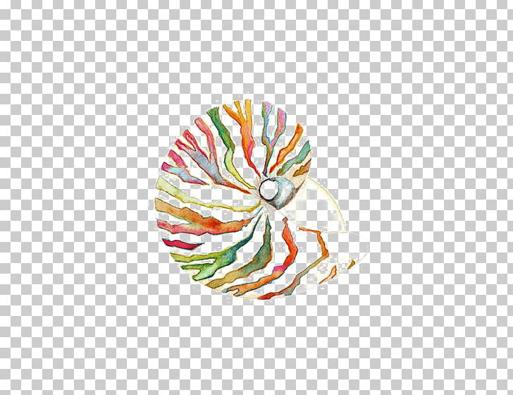 Watercolor Painting Seashell Nautilidae Printmaking PNG, Clipart, Art, Artist, Body Jewelry, Cartoon, Cartoon Conch Free PNG Download