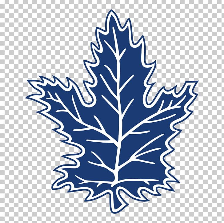 2017–18 Toronto Maple Leafs Season National Hockey League Toronto Raptors Ice Hockey PNG, Clipart, Flowering Plant, Hockey Jersey, Ice Hockey, Leaf, Line Free PNG Download