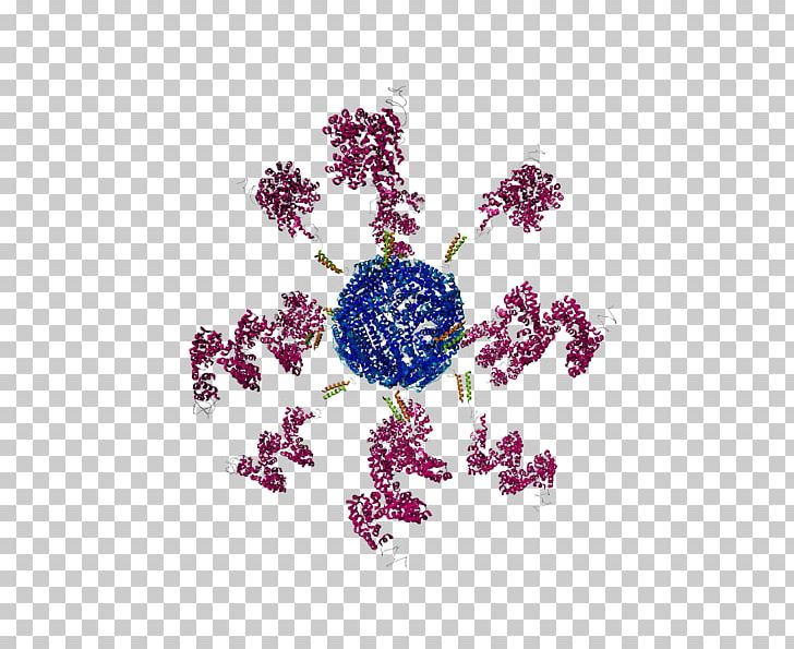 Ferritin Space-filling Model Nucleic Acid Sequence DNA PNG, Clipart, Animated Film, Assay, Calgary, Dna, Dna Core Free PNG Download