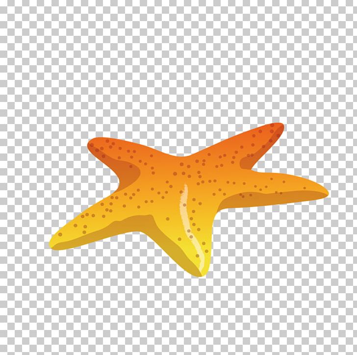 Starfish Sea PNG, Clipart, Adobe Illustrator, Animals, Beach, Encapsulated Postscript, Fivepointed Free PNG Download