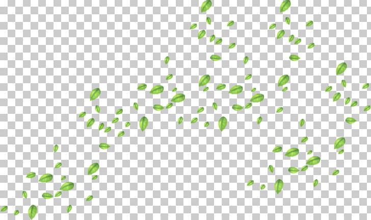 Table Mesa Leaf Deciduous PNG, Clipart, Angle, Area, Background Green, Diagram, Download Free PNG Download