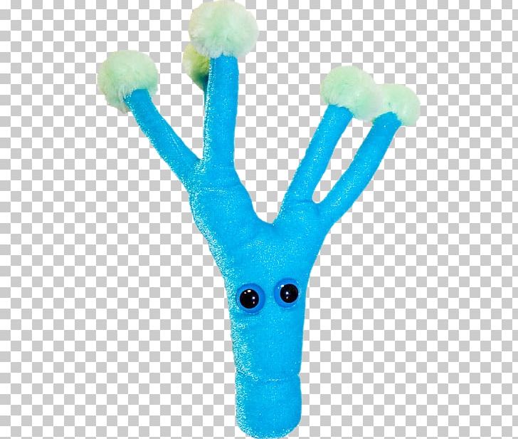 Penicillium Chrysogenum GIANTmicrobes Stuffed Animals & Cuddly Toys Penicillin Microorganism PNG, Clipart, Cell, Doll, Finger, Fungus, Giantmicrobes Free PNG Download