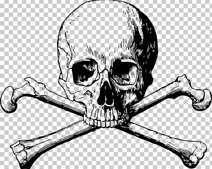 Skull And Bones Skull And Crossbones Human Skull Symbolism PNG, Clipart ...