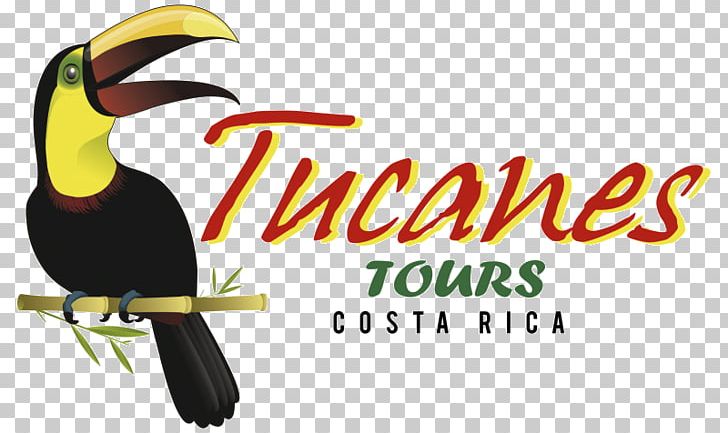 Toucan Ford Diamond Eye KIT Logo Advertising PNG, Clipart, Advertising, Alum, Beak, Bird, Brand Free PNG Download