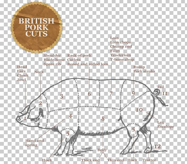Domestic Pig Barbecue Cut Of Pork Cut Of Beef Meat PNG, Clipart, Angle, Area, Art, Bacon, Barbecue Free PNG Download