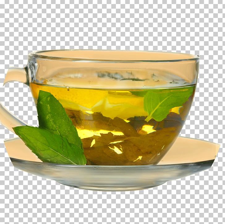Green Tea Matcha Sweet Tea Oolong PNG, Clipart, Black Tea, Blossom, Caffeine, Coldbrewed Tea, Cup Free PNG Download
