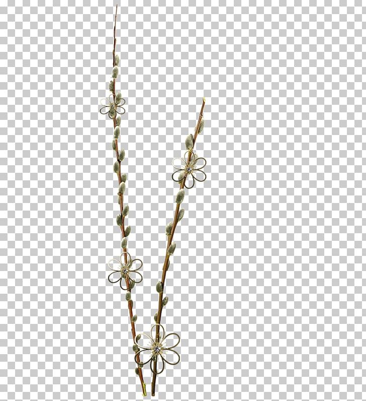 Photography Tree Shrub PNG, Clipart, Branch, Clip Art, Digital Image, Flora, Herb Free PNG Download