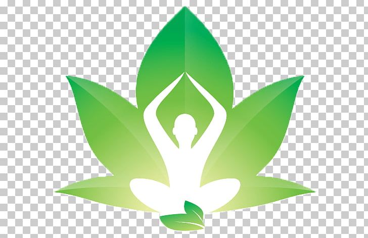 Yoga Healing PNG, Clipart, Body, Flora, Flower, Grass, Green Free PNG Download