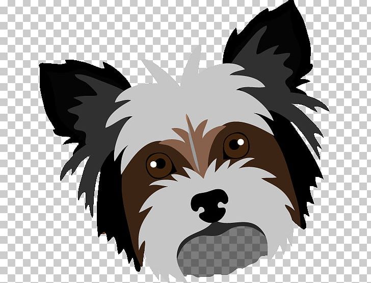 Yorkshire Terrier Cairn Terrier Puppy Shih Tzu Dog Breed PNG, Clipart, Bichon Frise, Breed, Cairn Terrier, Carnivoran, Cuteness Free PNG Download