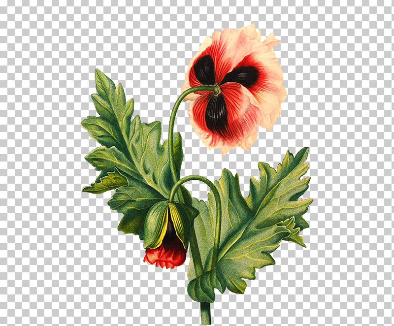 Artificial Flower PNG, Clipart, Anemone, Artificial Flower, Flower, Geranium, Leaf Free PNG Download