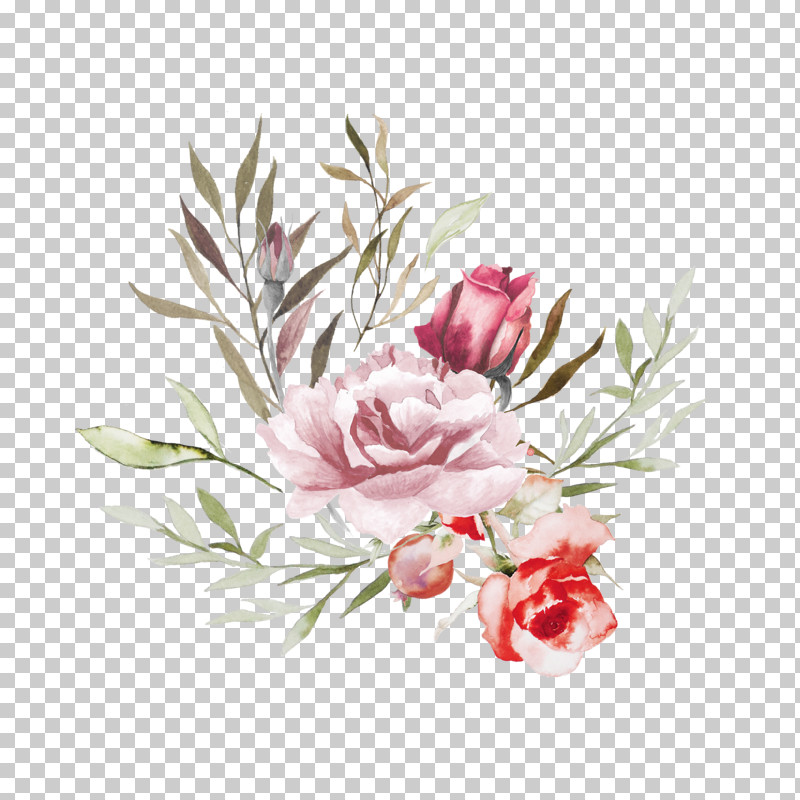 Flower Plant Protea Pink Common Peony PNG, Clipart, Chinese Peony, Common Peony, Cut Flowers, Flower, Peony Free PNG Download