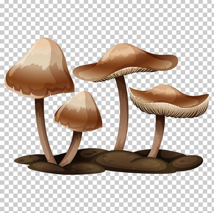 Edible Mushroom Mushroom Poisoning Illustration PNG, Clipart, Amanita Muscaria, Cartoon, Cartoon Mushrooms, Common Mushroom, Drawing Free PNG Download