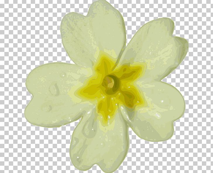 Flower White Computer Icons PNG, Clipart, Computer Icons, Desktop Wallpaper, Drawing, Flower, Flowering Plant Free PNG Download