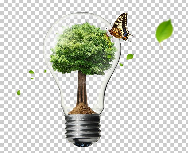 Incandescent Light Bulb Kefeite Feedstuff Uff08Changchunuff09 Limited Company Uc9c4ube0cub79cub4dcud31c PNG, Clipart, Bulb, Butterfly, Christmas Tree, Company, Energy Free PNG Download