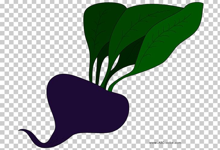Leaf Plant Stem PNG, Clipart, Flora, Grass, Leaf, Organism, Plant Free PNG Download