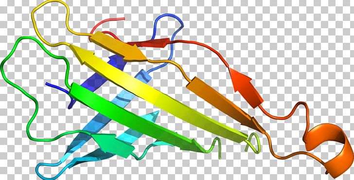 Organism Line PNG, Clipart, 2 G, 5 Lb, Art, Artwork, B 61 Free PNG Download