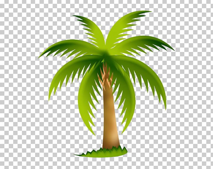 Computer Icons Arecaceae PNG, Clipart, Android, Arecaceae, Arecales, Borassus Flabellifer, Coconut Free PNG Download