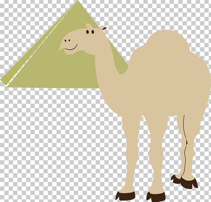 Egyptian Pyramids Cairo Camel PNG, Clipart, Animals, Arabian Camel, Cairo, Camel, Camel Like Mammal Free PNG Download
