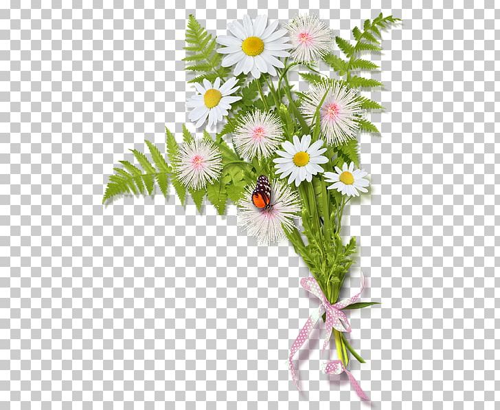 Flower PNG, Clipart, Aster, Camomile, Chrysanths, Common Daisy, Cut Flowers Free PNG Download