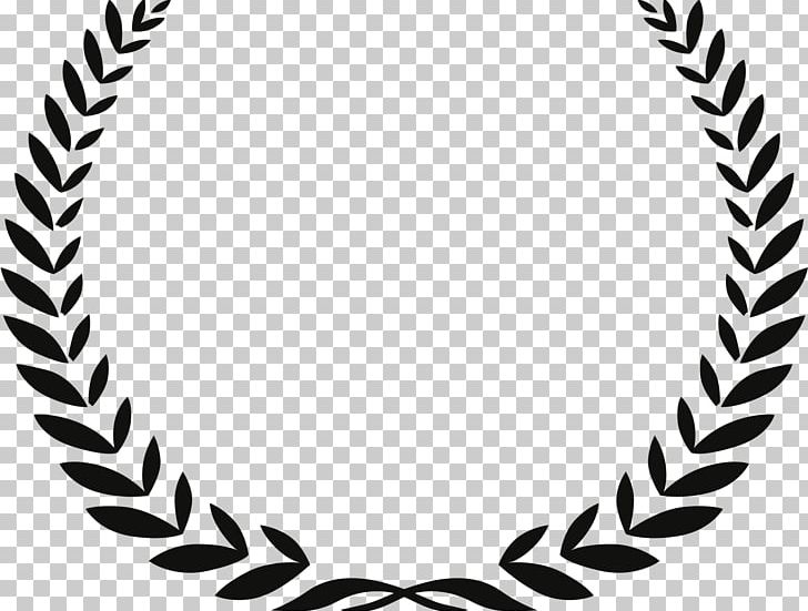 Full Frame Documentary Film Festival RiverRun International Film Festival Heartland Film Festival PNG, Clipart, Art, Black, Black And White, Body Jewelry, Cinema Free PNG Download