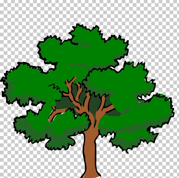White Oak Tree Swamp Spanish Oak PNG, Clipart, Artwork, Computer, Drawing, Flora, Grass Free PNG Download