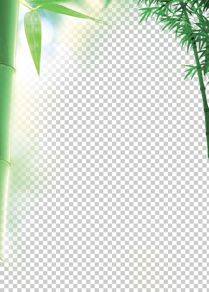 Bamboo Fundal PNG, Clipart, Adobe Illustrator, Angle, Bamboo Border, Bamboo Forest, Bamboo Frame Free PNG Download