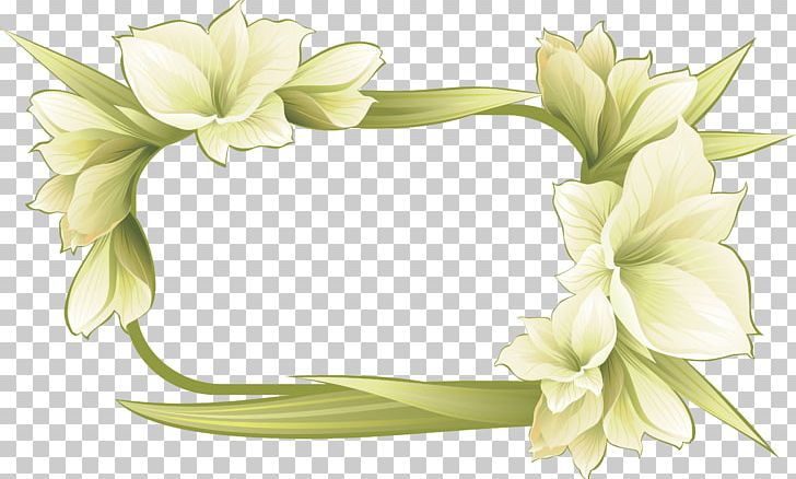 Frames Flower PNG, Clipart, Cut Flowers, Desktop Wallpaper, Encapsulated Postscript, Floral Design, Floristry Free PNG Download
