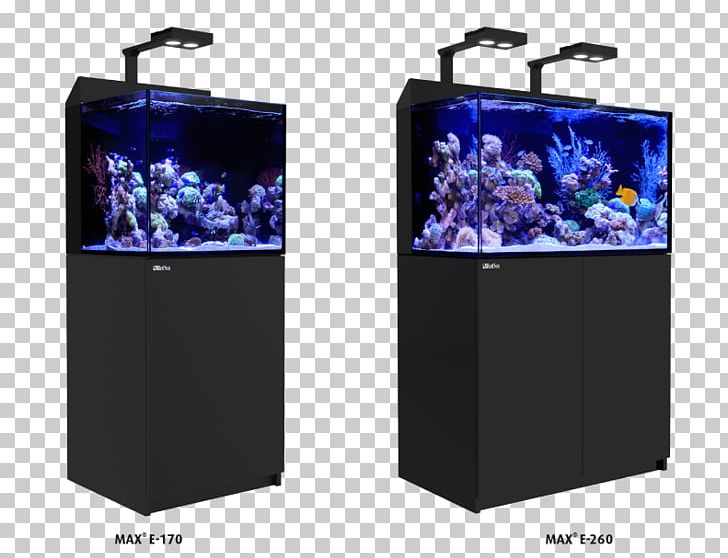 Red Sea Reef Aquarium Coral Reef Light PNG, Clipart, Aquarium, Coral, Coral Reef, Display Device, Fish Free PNG Download