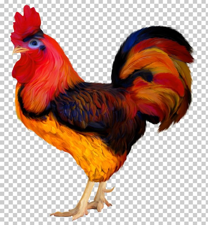 Rooster Chicken Hen PNG, Clipart, 2016, 2017, Animal, Animals, Beak Free PNG Download