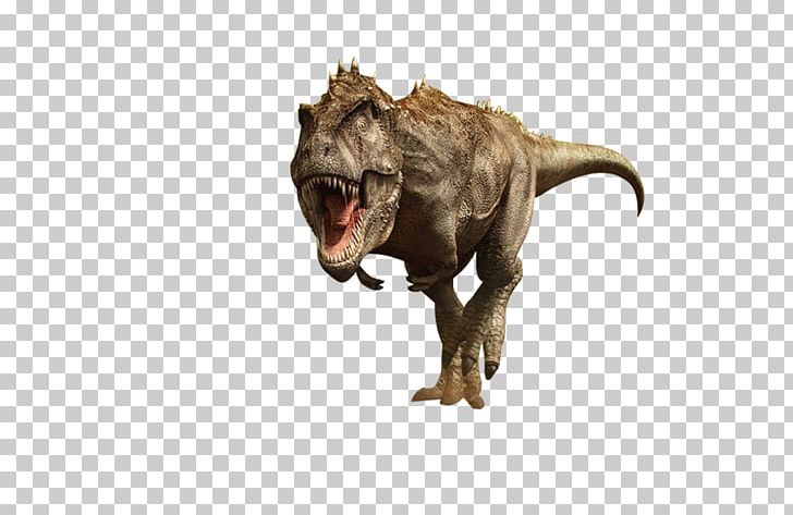 Tyrannosaurus Velociraptor Dinosaur PNG, Clipart, Animal, Beast, Brown Background, Brown Dog, Brown Rice Free PNG Download